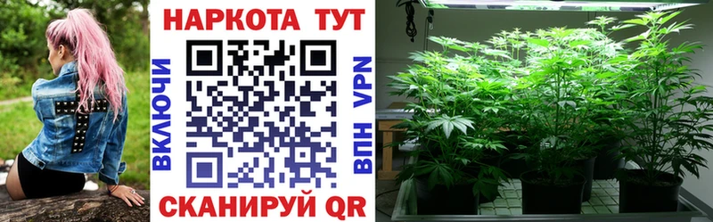 Виды наркоты Бор Конопля ОМГ ОМГ зеркало МЕТАДОН Меф Галлюциногенные грибы КОКАИН Гашиш СОЛЬ