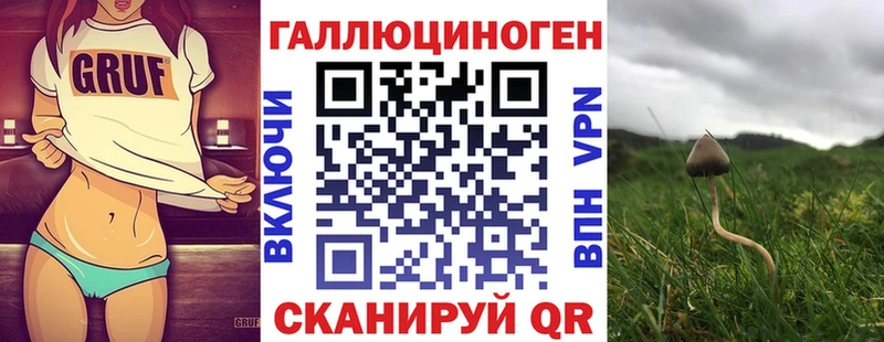 цена   Бор  Галлюциногенные грибы Psilocybine cubensis 