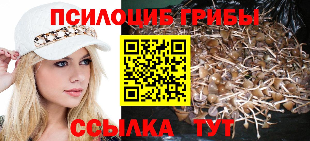 Бор  Галлюциногенные грибы MAGIC MUSHROOMS  Псилоцибиновые грибы прущие грибы  Вход с VPN 